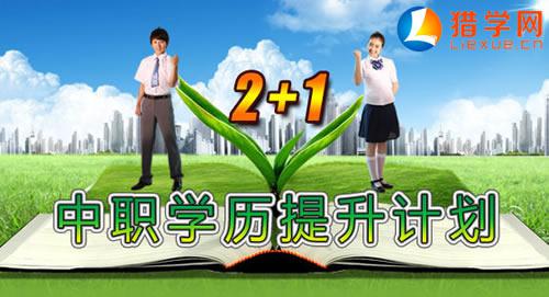 ꖹI(y)WУ2+1